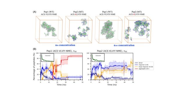 【Published online】Effect of Charged Mutation on Aggregation of a Pentapeptide: Insights from Molecular Dynamics Simulations