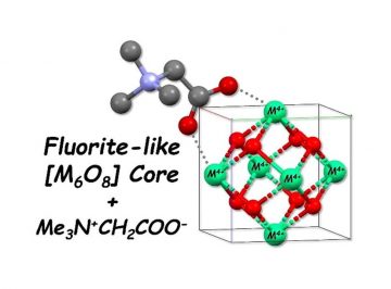 Controlling structure of fluorite-like hydrolyzed coordination clusters of Zr(IV) and Hf(IV) by amino acid derivative
