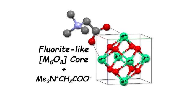 Controlling structure of fluorite-like hydrolyzed coordination clusters of Zr(IV) and Hf(IV) by amino acid derivative