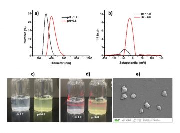 【Published】NICLOSAMIDE-EXFOLIATED ANIONIC CLAY NANOHYBRID REPURPOSED AS AN ANTIVIRAL DRUG FOR TACKLING COVID-19; ORAL FORMULATION WITH TWEEN 60/EUDRAGIT S100