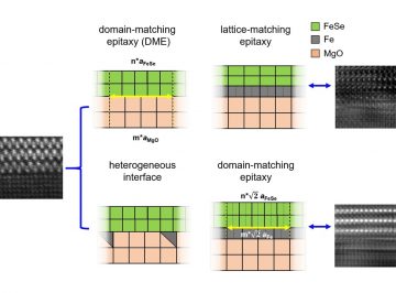 Chemical composition control at the substrate interface as the key for FeSe thin-film growth