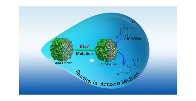 Cats in a Cage: Novel Hybrid Nanocages for Faster Catalysis