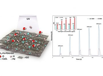 A two-dimensional (2D) CeO2/Pd/Graphene-Oxide heterojunction nanocomposite has been synthesised via an environmentally friendly and facile wet chemical procedure for hydrogen H2 gas sensing application
