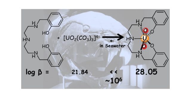 Selective recovery of uranium from seawater