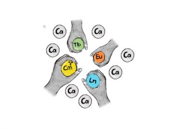 【Published】appeared on the Inside front cover of Inorganic Chemistry Frontiers (WRH : Dr. Satoru Tsushima)