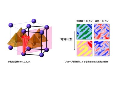 環境調和機能性酸化物材料国際研究プロジェクト