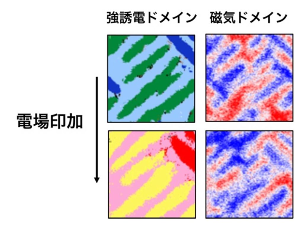 プローブ顕微鏡による電場印加磁化反転の観察