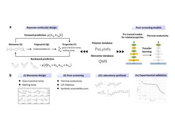 機械学習の「記憶」を活用し、高分子の熱伝導性の大幅な向上に成功：森川淳子教授、Christoph Schick特任教授