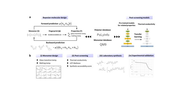 機械学習の「記憶」を活用し、高分子の熱伝導性の大幅な向上に成功：森川淳子教授、Christoph Schick特任教授