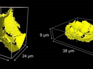 放射光でセラミックス内部の欠陥観察に成功:大熊学特任助教、西山宣正特任准教授、若井史博教授