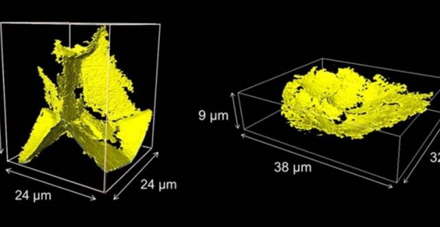 放射光でセラミックス内部の欠陥観察に成功:大熊学特任助教、西山宣正特任准教授、若井史博教授