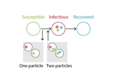 Why multipartite viruses infect plants rather than animals (Petter Holme特任教授)