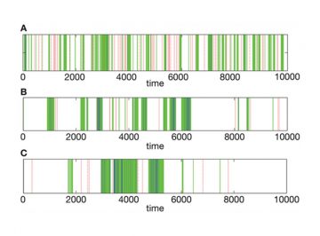 Heterogeneous cooperative leadership emerging from homogeneous graphs