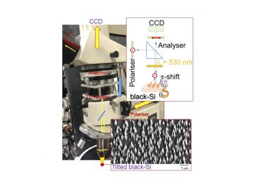 New strongly birefringent metamaterial – tilted black Si. New imaging microscopy: reflection polariscopy