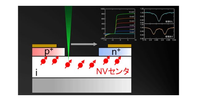 小型・集積化につながるダイヤモンド量子センサのスピン情報の電気的読み出しに成功