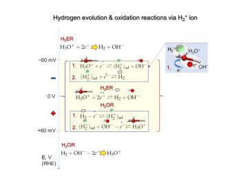Quantitative mechanism of the Hydrogen evolution and oxidation reactions via molecular ion of hydrogen H2+ is presented