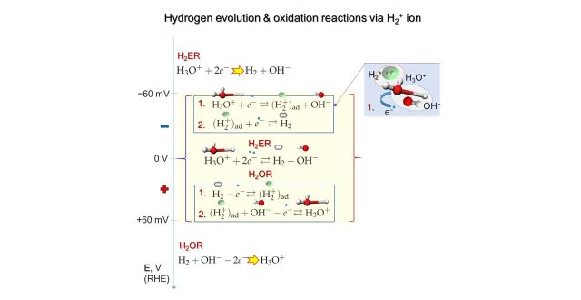 Quantitative mechanism of the Hydrogen evolution and oxidation reactions via molecular ion of hydrogen H2+ is presented
