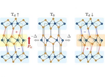 【論文】Tunable vertical ferroelectricity and domain walls by interlayer sliding in β-ZrI2