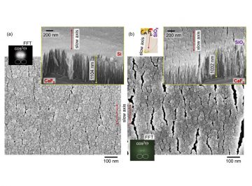 Birefringent optical coatings are shown to have infrared absorbance using polarisation analysis