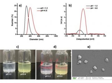 【論文】NICLOSAMIDE-EXFOLIATED ANIONIC CLAY NANOHYBRID REPURPOSED AS AN ANTIVIRAL DRUG FOR TACKLING COVID-19; ORAL FORMULATION WITH TWEEN 60/EUDRAGIT S100