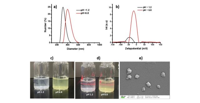 【論文】NICLOSAMIDE-EXFOLIATED ANIONIC CLAY NANOHYBRID REPURPOSED AS AN ANTIVIRAL DRUG FOR TACKLING COVID-19; ORAL FORMULATION WITH TWEEN 60/EUDRAGIT S100
