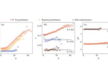 【論文】Autopoietic Influence Hierarchies in Pancreatic β Cells