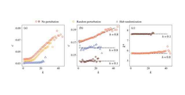 【論文】Autopoietic Influence Hierarchies in Pancreatic β Cells