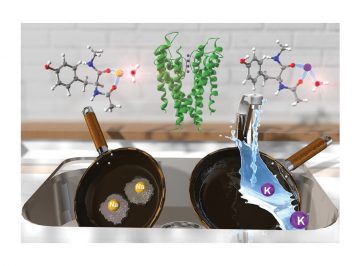 【論文】Phys. Chem. Chem. Phys.のback coverに掲載されました。WRHI：藤井正明教授、James M. Lisy特任教授