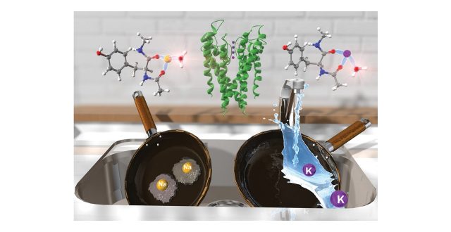 【論文】Phys. Chem. Chem. Phys.のback coverに掲載されました。WRHI：藤井正明教授、James M. Lisy特任教授