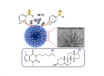 Dendritic Silica-Supported Ni/NiO Nanoparticle Catalyst enables Primary Amine Synthesis from Carbonyls at 50 °C