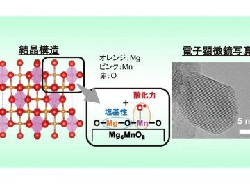 理想とされるC-H結合の直接酸化反応を低温・高効率で達成 化学合成プロセスの著しい簡潔化に寄与する触媒を開発