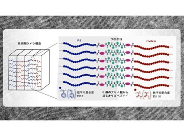 結合した2種高分子間の「つなぎ目」が鍵 半導体の微細加工に貢献する新しい高分子設計