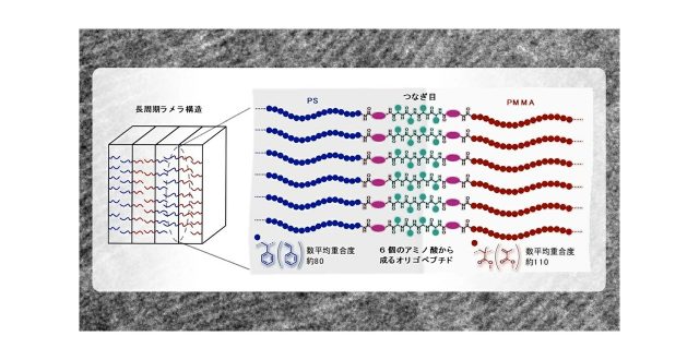 結合した2種高分子間の「つなぎ目」が鍵 半導体の微細加工に貢献する新しい高分子設計